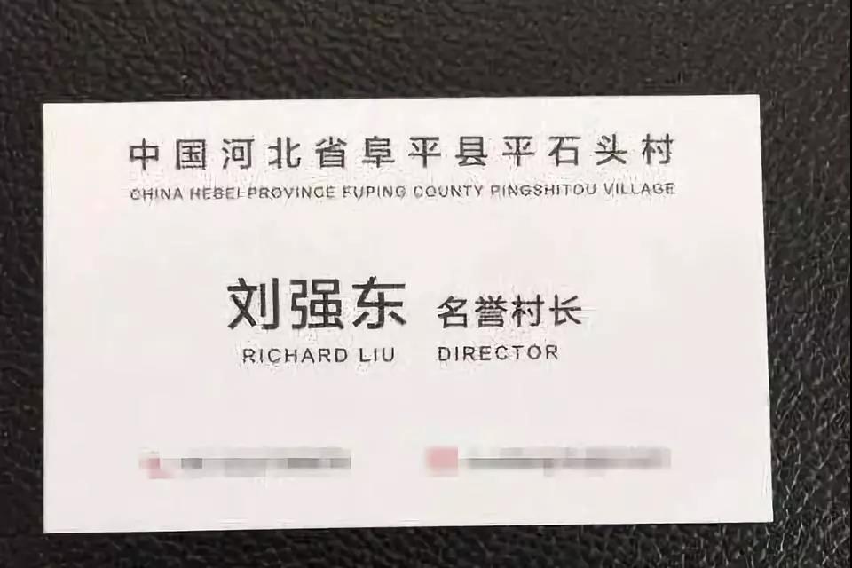 2017年11月28日，劉強東受聘為河北阜平縣平石頭村“名譽村長”。