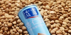汕頭法院判了！承德露露不服！一個商標使用權(quán)引發(fā)的官司