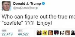 特朗普臆造詞“COVFEFE”商標(biāo)被無效，商評委：不良影響！