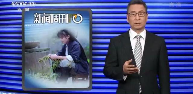 月收入千萬，背后公司早已為網紅李子柒注冊百余件商標
