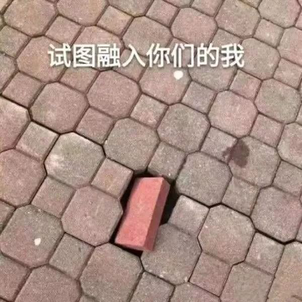 “nss、xswl、pyq、cx、zqsg、走花路……”細數那些被注冊商標的00后黑話