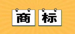 填寫商標續展申請書需要注意哪些問題？記住這幾點不再抓瞎