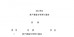 什么是專項審計,專項審計的內容有哪些（什么是專項審計,專項審計的內容有哪些要求）