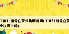 工商注冊號(hào)在營業(yè)執(zhí)照哪里(工商注冊號(hào)在營業(yè)執(zhí)照上嗎)
