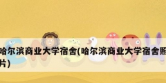 哈爾濱商業大學宿舍(哈爾濱商業大學宿舍照片)