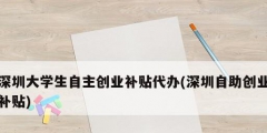 深圳大學生自主創業補貼代辦(深圳自助創業補貼)