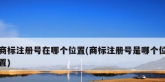 商標(biāo)注冊號在哪個(gè)位置(商標(biāo)注冊號是哪個(gè)位置)